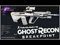 Assault Level 10: AUG Assault vs the Standard AUG! - Ghost Recon Breakpoint
