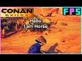 Country Horse! | Conan Exiles - Foreman Plays Stuff