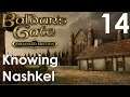 Knowing Nashkel - Baldur's Gate Enhanced Edition 014 - Let's Play