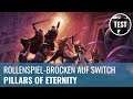 Pillars of Eternity: Im Test auf Nintendo Switch [ANGEPINNTEN KOMMENTAR BEACHTEN!] (German)