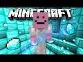 SMILEYMANNETJE IS RIJK ?! | Minecraft Survival #3