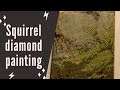Squirrel diamond painting
