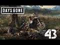 He's My Brother-Let's Play Days Gone Part 43