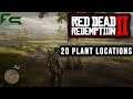 Red Dead Redemption 2 - 20 Plant Locations Guide
