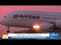 Aviation news clips this week & some Koalas