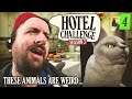 beware of the Cats  - Hotel Challenge in Henford!