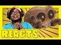 Jumping Spider by Lucas the Spider | Aychristene Reacts