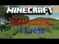 Minecraft Túlélő sorozat #11 The Nether!