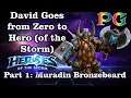 David Goes from Zero to Hero (of the Storm) Part 1 | Phenixx Gaming