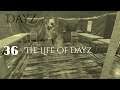 DayZ - Gameplay Part 36 - The Life Of DayZ