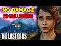 Can You Beat The Last of Us Without Taking Damage?