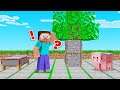 Everything In MINECRAFT CURSES / BLESSES YOU! (pressure plates)
