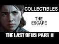 The Last of Us Part 2: The Escape Collectibles