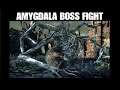 BLOODBORNE - Amygdala Boss Fight - War of Attrition