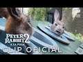 PETER RABBIT 2 - "Hora de divertirnos" Clip en ESPAÑOL | Sony Pictures España