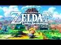 The Legend Of Zelda: Link's Awakening | En Español | Capítulo 3 "El cuerno de caracola"