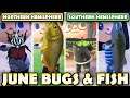 🐛🐟 ULTIMATE Bugs & Fish Guide For JUNE In Animal Crossing New Horizons | North & South Hemisphere!