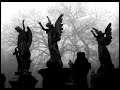 Desideratum - Angels Graveyard