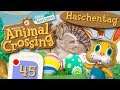 ANIMAL CROSSING: NEW HORIZONS 🏝️ #45: Oster-Cringe mit Ohs am Häschentag