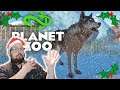 Planet Zoo Gameplay - Extra Long Christmas Edition!  Snow Snow Snow Animals
