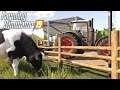 A SAGA DE UM PECUARISTA DE SUCESSO | Farming Simulator 2019 | OS COLONOS 2 #19