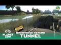 Crocodile Underwater Viewing Tunnel  - Ruhr Zoo - Planet Zoo Franchise Mode