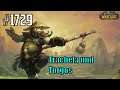 Let's Play World of Warcraft (Tauren Krieger) #1729 - Trachela und Torgos