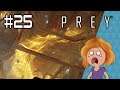 Radiation | Let's play Prey part 25
