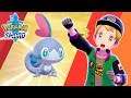 SHINY SOBBLE HUNTING DAY 8! Masuda Method Shiny Breeding in Pokemon Sword and Shield