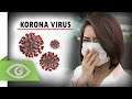 Sta je Korona Virus i Koliko Je Opasan ?