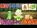 【あつ森】最新!春の若竹とレシピの効率的な入手方法を全て紹介!竹やたけのこの増やし方も解説!和風エリアに必須な家具を必ず集めよう【あつまれどうぶつの森 はるのわかたけ攻略】