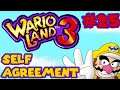 Let's Play Wario Land 3 - 25 - Self Agreement
