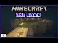One Block Skyblock! Ep.2 - TUNDRA AND OCEAN PHASE!