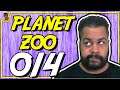 Planet Zoo PT BR #014 - Zootopia Africa - Tonny Gamer