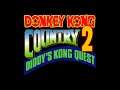 Stickerbush Symphony (OST Version) - Donkey Kong Country 2