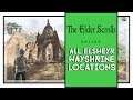 The Elder Scrolls Online Elsweyr All Wayshrine Locations