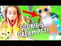 GETTING SOCKIE HER DREAM PET *Mega Neon Meerkat* ?? in Adopt Me Roblox Gaming w/ The Norris Nuts