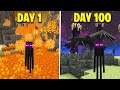 I Survived 100 Days In Minecraft's Better End (Here's What Happened)