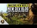 New World - What is This Game Even Trying to Be? (NEW DEV BLOG DISCUSSION)