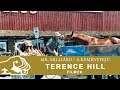 Terence Hill sorozat: Mr. Milliárd / A keményfejű