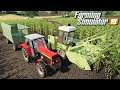 Kukurydza na kiszonkę - Farming Simulator 19 | #9
