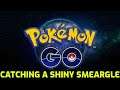 Pokémon GO - Catching a Shiny Smeargle
