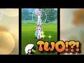TWO Ponyta In ONE Wild Pokémon Encounter!?! Weird Pokémon Go Bug Glitch!