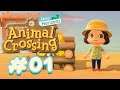 A Brand New Island! 。+ Animal Crossing New Horizons Let's Play! .:* #01 ♢
