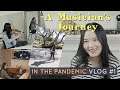 A Performing Musician's Journey in the Pandemic | Vlog "In the Tunnel" #1