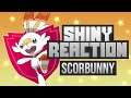 Shiny Scorbunny Reaction | 221 Eggs | Masuda Method | Pokemon Shield