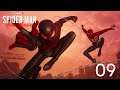The duo's back|Marvel Spider-Man Miles Morales Part 9