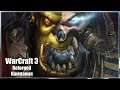 Warcraft III: Reforged Кампания