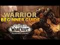 Warrior Beginner Guide | Overview & Builds for ALL Specs WoW Shadowlands