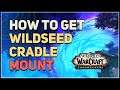 How to get Wildseed Cradle Mount WoW
